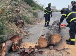Maltempo, nel Messinese oltre 40 interventi dei Vigili del Fuoco per forte scirocco