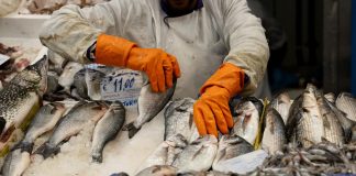 L’inflazione dell’Eurozona aumenta al 2.5% a marzo (3)
