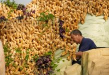 Cina: Shouguang ospiterà 27esima Int’l Vegetable Science & Technology Expo (1)