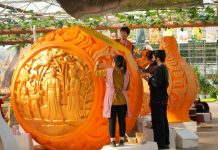 Cina: Shouguang ospiterà 27esima Int’l Vegetable Science & Technology Expo (2)