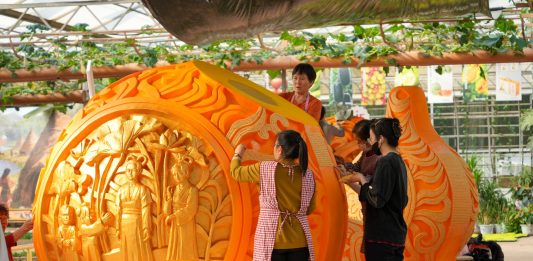 Cina: Shouguang ospiterà 27esima Int’l Vegetable Science & Technology Expo (2)