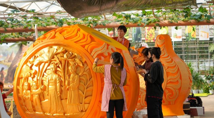 Cina: Shouguang ospiterà 27esima Int’l Vegetable Science & Technology Expo (2)