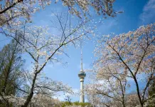 Cina: Pechino, record di qualità dell’aria e inquinamento grave quasi eliminato