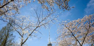 Cina: Pechino, record di qualità dell’aria e inquinamento grave quasi eliminato