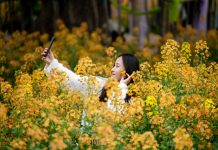 Cina: in tutto il Paese è iniziato il periodo della fioritura (3)