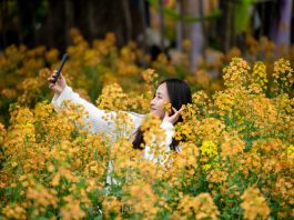 Cina: in tutto il Paese è iniziato il periodo della fioritura (3)