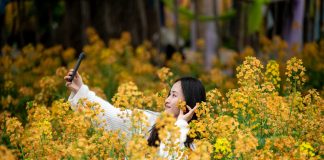 Cina: in tutto il Paese è iniziato il periodo della fioritura (3)