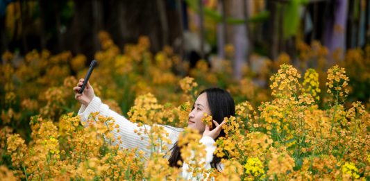 Cina: in tutto il Paese è iniziato il periodo della fioritura (3)