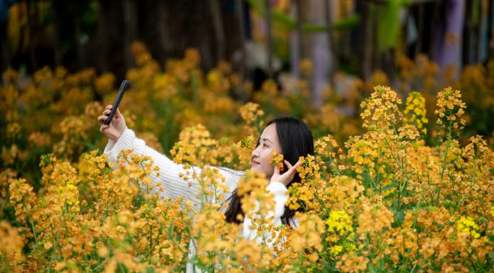 Cina: in tutto il Paese è iniziato il periodo della fioritura (3)