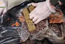 Dalla Spagna con 9kg di droga, arrestata una 28enne nigeriana / Video