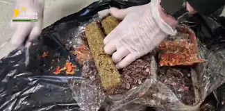 Dalla Spagna con 9kg di droga, arrestata una 28enne nigeriana / Video