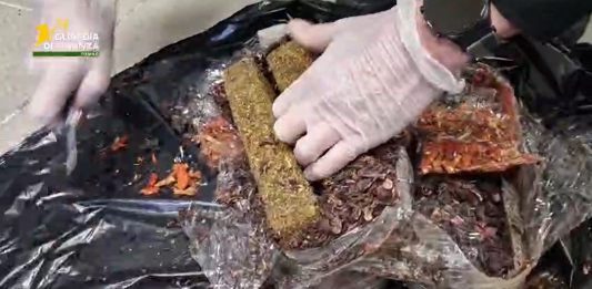 Dalla Spagna con 9kg di droga, arrestata una 28enne nigeriana / Video