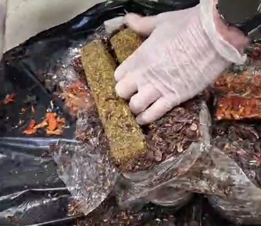 Dalla Spagna con 9kg di droga, arrestata una 28enne nigeriana / Video