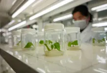 Cina: Shouguang hub chiave per semi e biodiversità (2)