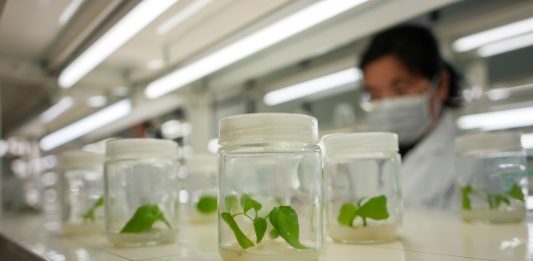 Cina: Shouguang hub chiave per semi e biodiversità (2)