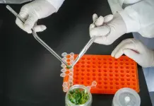 Cina: Shouguang hub chiave per semi e biodiversità (3)