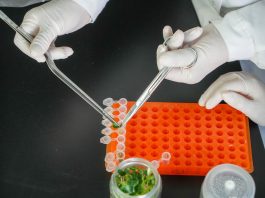 Cina: Shouguang hub chiave per semi e biodiversità (3)