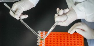 Cina: Shouguang hub chiave per semi e biodiversità (3)