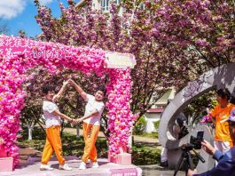 Cina: a Liupanshui i ciliegi sul fiume attraggono visitatori (2)