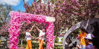 Cina: a Liupanshui i ciliegi sul fiume attraggono visitatori (2)