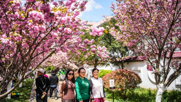 WhatsApp Image 2026-04-04 at 10.24.56