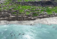 Cina: a Nyingchi la fioritura dei peschi attira i turisti (2)