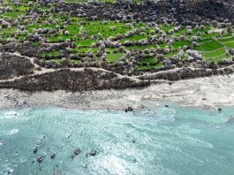 Cina: a Nyingchi la fioritura dei peschi attira i turisti (2)