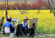 Cina: momenti di svago durante le vacanze per la Festa di Qingming (3)