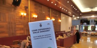 Venezia avvia la campagna contro la proliferazione delle zanzare