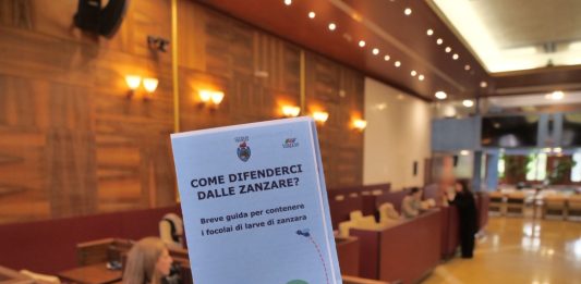 Venezia avvia la campagna contro la proliferazione delle zanzare