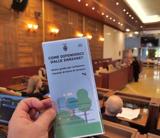 Venezia avvia la campagna contro la proliferazione delle zanzare