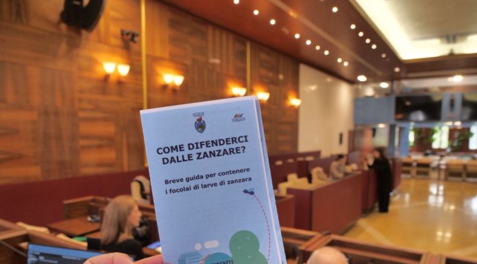 Venezia avvia la campagna contro la proliferazione delle zanzare