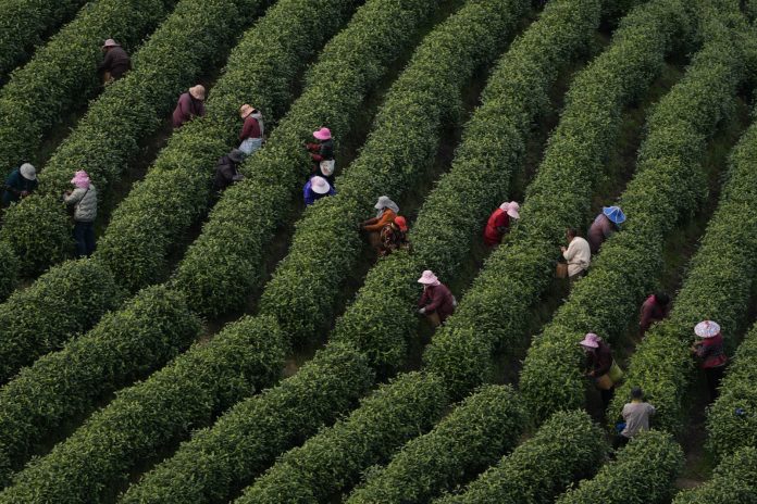 WhatsApp Image 2026-04-09 at 10.32.07