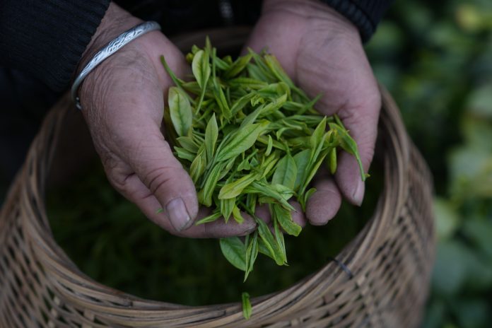 WhatsApp Image 2026-04-09 at 10.37.05