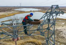 Cina: lo Xinjiang integra la sicurezza della rete elettrica e la tutela degli uccelli migratori (2)