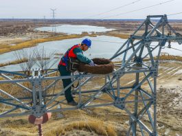 Cina: lo Xinjiang integra la sicurezza della rete elettrica e la tutela degli uccelli migratori (2)