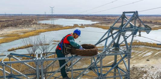 Cina: lo Xinjiang integra la sicurezza della rete elettrica e la tutela degli uccelli migratori (2)