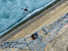 Cina: lo Xinjiang integra la sicurezza della rete elettrica e la tutela degli uccelli migratori (3)