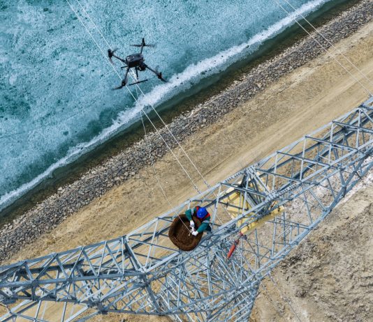 Cina: lo Xinjiang integra la sicurezza della rete elettrica e la tutela degli uccelli migratori (3)