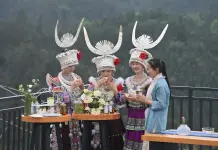 Cina: a Liuzhou grande successo per le piantagioni di tè (1)