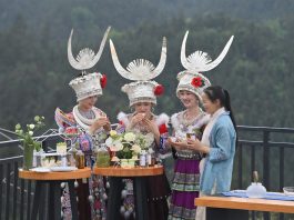 Cina: a Liuzhou grande successo per le piantagioni di tè (1)