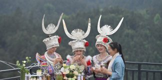 Cina: a Liuzhou grande successo per le piantagioni di tè (1)