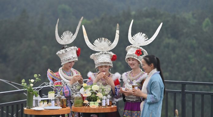 Cina: a Liuzhou grande successo per le piantagioni di tè (1)