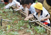 Cina: Zhangzhou si impegna per tutela ecologica e riqualificazione urbana (1)