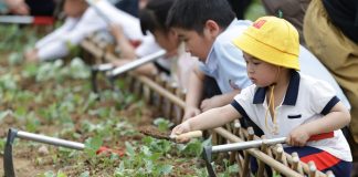 Cina: Zhangzhou si impegna per tutela ecologica e riqualificazione urbana (1)