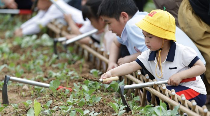 Cina: Zhangzhou si impegna per tutela ecologica e riqualificazione urbana (1)