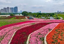 Cina: Zhangzhou si impegna per tutela ecologica e riqualificazione urbana (3)