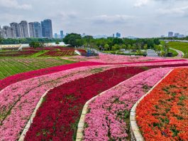 Cina: Zhangzhou si impegna per tutela ecologica e riqualificazione urbana (3)