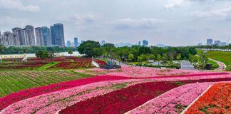 Cina: Zhangzhou si impegna per tutela ecologica e riqualificazione urbana (3)