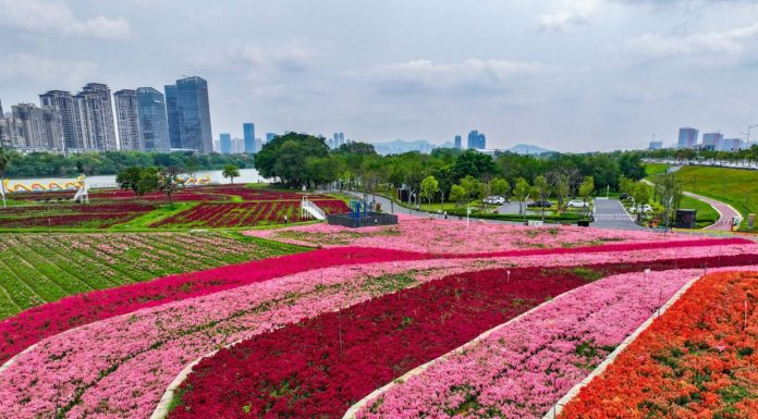 Cina: Zhangzhou si impegna per tutela ecologica e riqualificazione urbana (3)